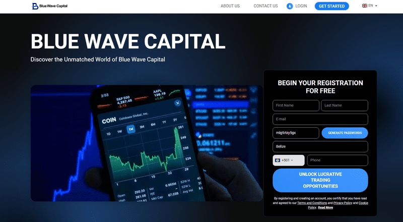 Blue Wave Capital Homepage Screenshot